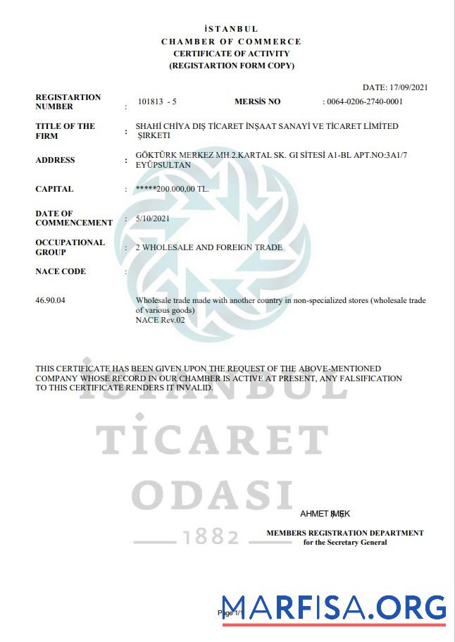 Blank Turkey Istanbul Certificate of Activity template in Word and PDF format